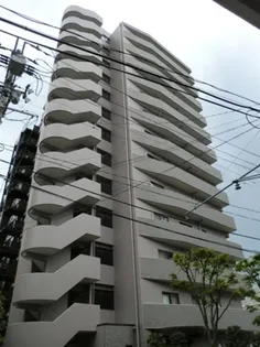 パシフィック五橋の画像