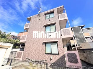 エクセルシアの画像