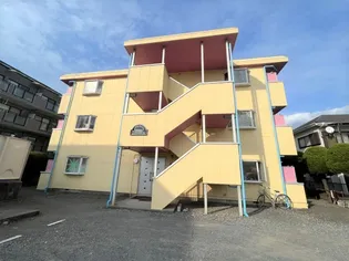 シティーフェイスの画像