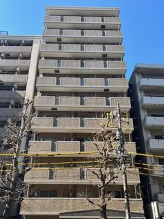 ビエラコート都立大学【7階】の外観