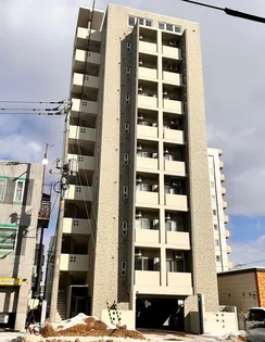 コリーナフォレスタの画像