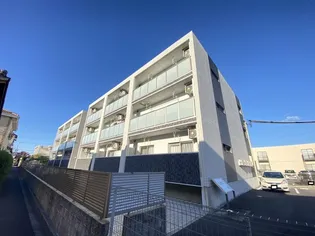 SORTEの画像