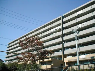 ゼファー横濱サンコリーヌ神之木公園の画像