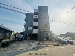 セルサスナカシマの画像