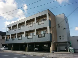 CN GARDENIIの画像