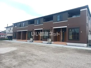 カンファタブルの画像