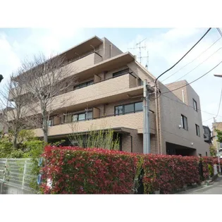 マツシマTRAの画像