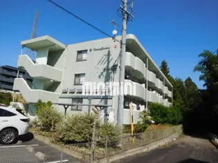 VERDE GISHOUの画像