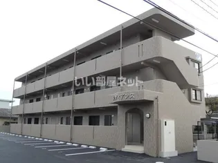 ラディアンスの画像