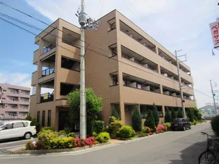 カリーノRプリマヴェーラの画像