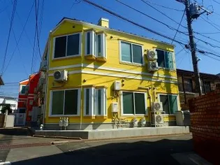 フェリスリップルの画像