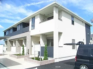 アムールAの画像