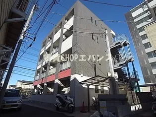 ルオーゴコモドの画像