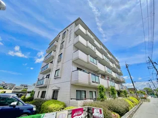 パープルソシアの画像