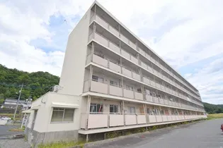 広島県三次市三次町【マンション】の外観