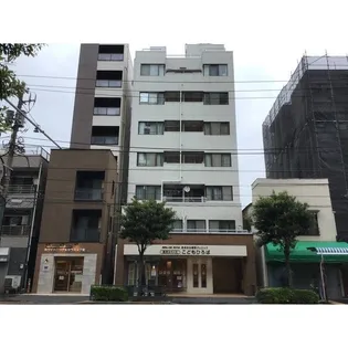 グリーンシャンクの画像