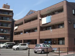 シェレン バウム Fの画像