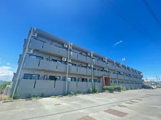 T LEONの画像