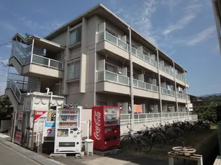 ハイツタキダニの画像