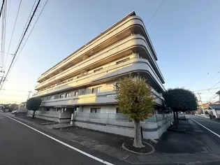 ベルメゾン井野【4階】の外観