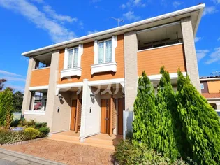 プリムローズの画像