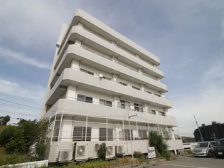 ホワイトヒルの画像