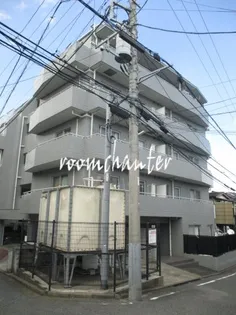 ヨコハマフィズの画像