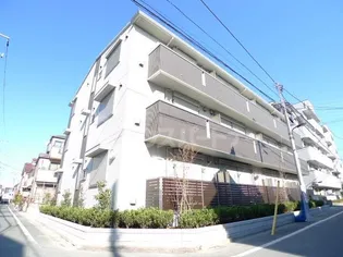 シトロンフレアIIの画像