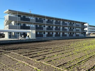 メルローズ寿北1の画像