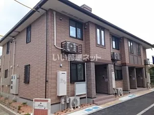 オリーブの画像