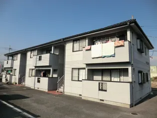 グレースマキの画像