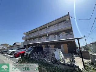 ミランダセレッソサードの画像
