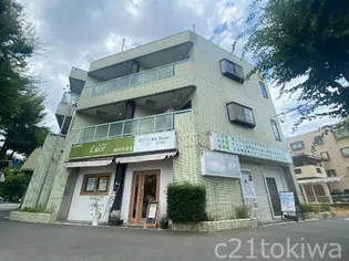 秋桜29の画像