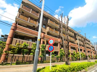 タートルクレインふじみ野IIの画像