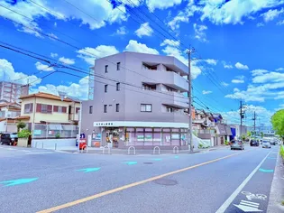 ラフィーヌモン【4階】の外観