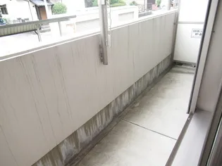 マンションマルカ サウス【1階】の内装