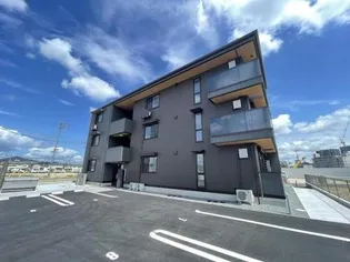 カンパニュラの画像