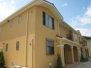 ルピナスAの画像