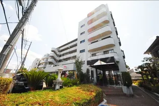 埼玉県さいたま市大宮区三橋1【マンション】の外観