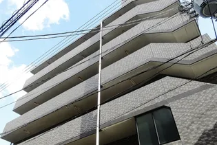 エクセレント上新8の画像