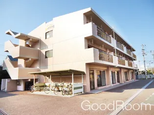 徳島県徳島市南昭和町6【アパート】の外観