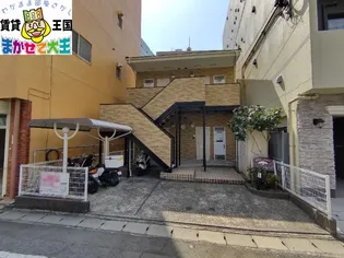 エバーグリーンの画像