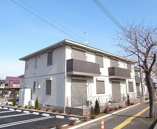 MAST ボニータ サラCの画像