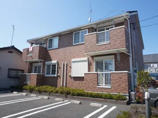 シェルサンライズの画像