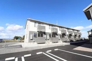 エーデルワイスの画像