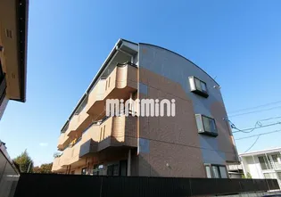 アムール惣中の画像