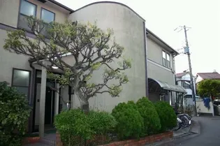 ウィングコートの画像