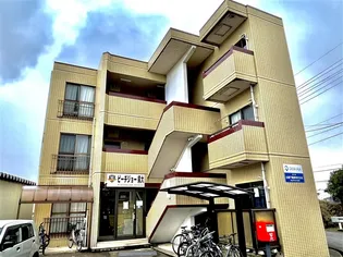 ピーチジョー県大の画像
