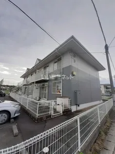 ラフィーネDの画像