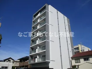 PURA VIDA花の木の画像